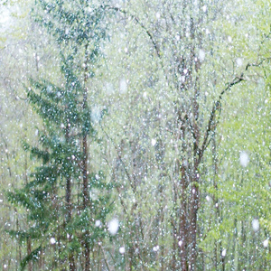 好爽⋯好紧⋯sao货别夹
