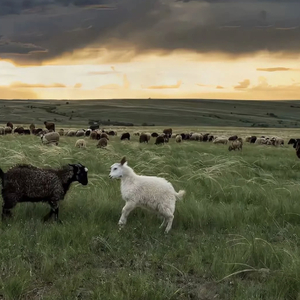 好爽⋯好紧⋯sao货别夹
